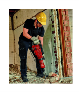 Einhell TC-DH 43 Sds Hex 1600w Kırıcı 4139087